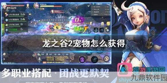 龙之谷2手游宠物蛋高效刷取攻略