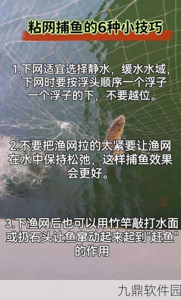 悠长假期渔网巧用秘籍，一网打尽惊喜