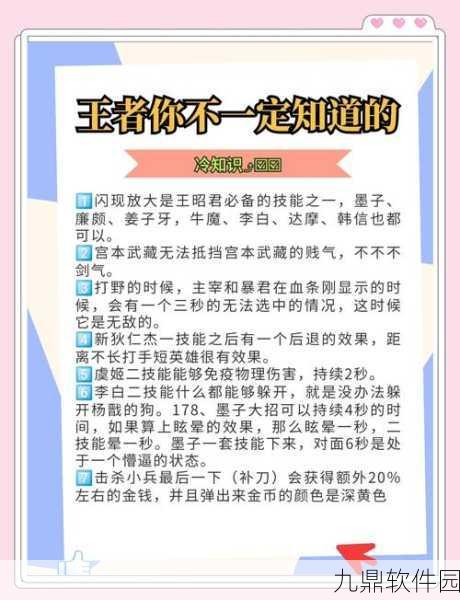 王者荣耀冷知识揭秘，深度解析游戏细节与版本更新
