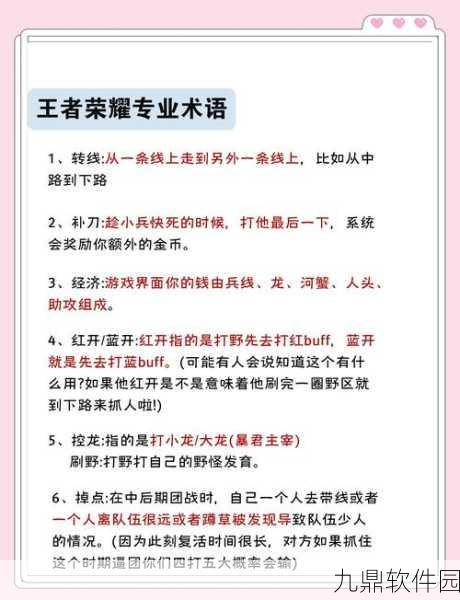 王者荣耀冷知识揭秘，深度解析游戏细节与版本更新