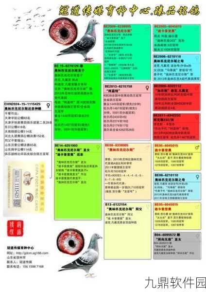 探秘璃冠鸽捕捉秘籍 全流程详细解析