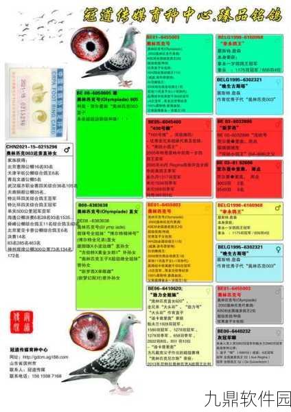探秘璃冠鸽捕捉秘籍 全流程详细解析