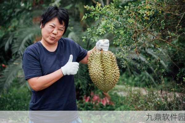 探秘荔枝树金色能量值的获取与巧用秘籍