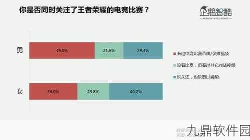 王者荣耀人脸识别不弹出问题解决方案及深度探讨