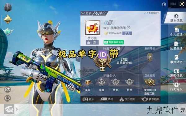 和平精英ID黑白背后的故事，深入解读游戏ID文化与最新资讯