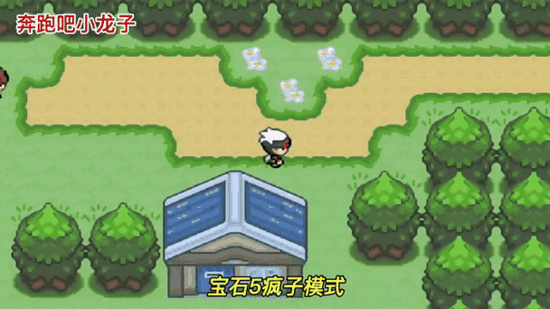 口袋妖怪关东地区，挑战最终道馆，征服绿岭镇的荣耀之路