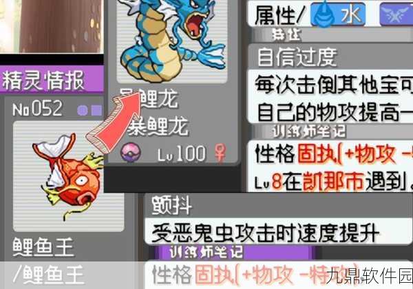 口袋妖怪漆黑，启航神秘坐船之旅——全新版本探险资讯
