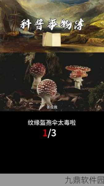 魔兽世界,探寻大得出奇的蘑菇
