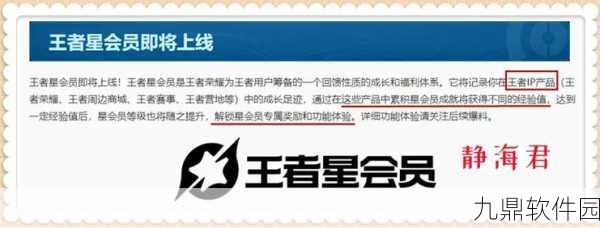 王者荣耀转让天游最新动态及资源管理战略规划手游资讯