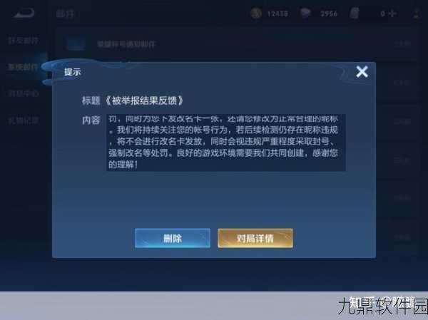王者荣耀改名卡异常风波,功能暂停背后的比赛细节与玩家热议