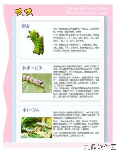 探索爱神花园,蚕茧合成方法全揭秘