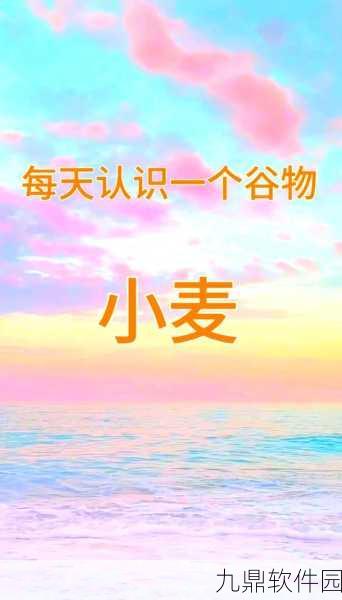 探索创造与魔法小麦生长的秘密，全面解锁小麦获取方法