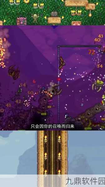 泰拉瑞亚手游资讯,探索与捕捉金刚鹦鹉的奇妙之旅