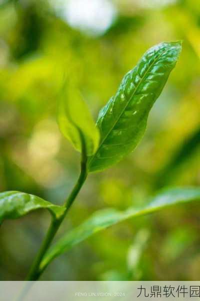 根据一颗小树苗安装下载，探索迷人种植养成游戏的绿色之旅