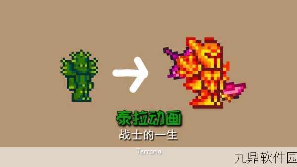 泰拉瑞亚战士荣耀之路,全面解锁战士徽章攻略及ID属性深度剖析