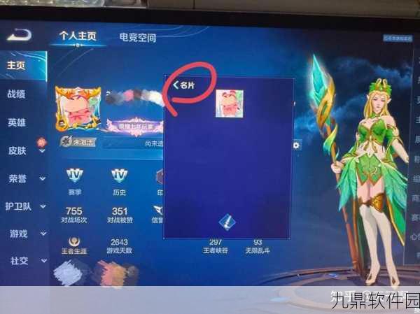 王者荣耀个性设置新指南，轻松调整账号性别标识
