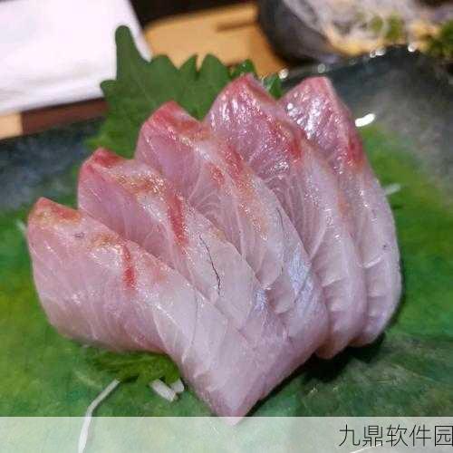 Slashy Sushi游戏新版本震撼发布,美食与冒险的完美融合