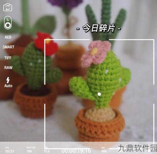 摩尔庄园手游资讯，解锁仙人掌获取攻略及玩转技巧大揭秘