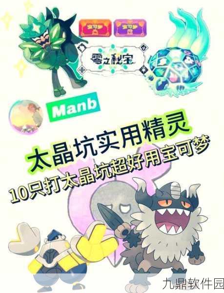 口袋妖怪黑白火系主角深度解析,性格、努力值与配招策略