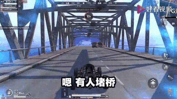 和平精英,堵桥战术深度解析与实战要点