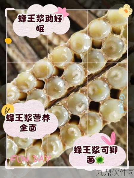 手游资讯,烟雨江湖蜂王浆获取途径揭秘与养生功效全解析