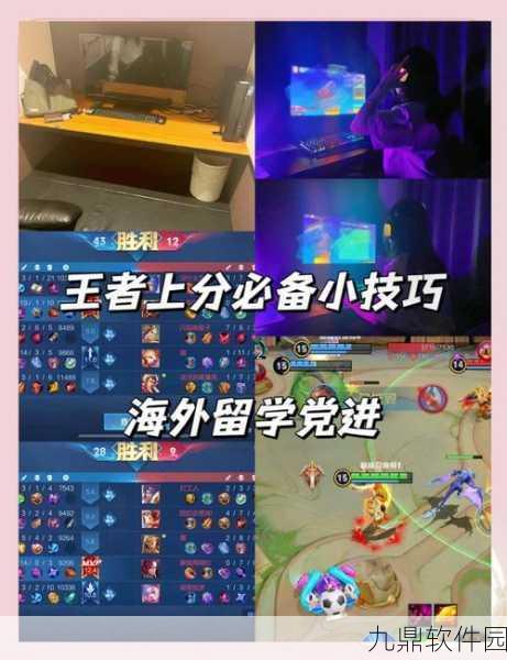 王者荣耀电竞选手注册全攻略,开启你的职业电竞之旅