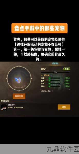 DNF手游资讯，三龙宠物属性对比与选择建议