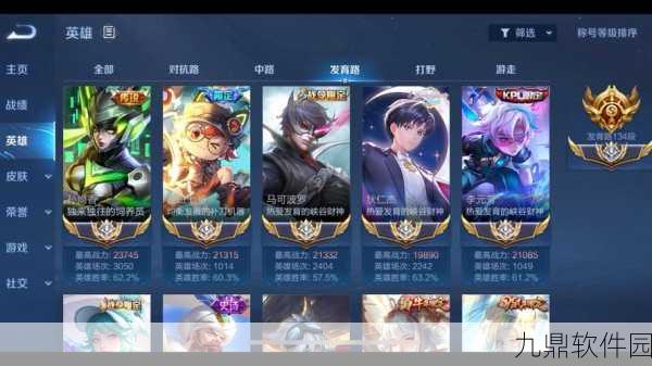 王者荣耀小国标全面解析,荣耀与实力的象征