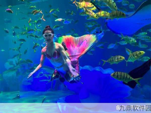 西游降魔篇3D游戏系统详解,新手入门指南,助你畅游奇幻世界