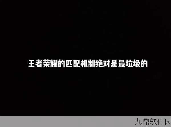 王者荣耀坑队友故意匹配之谜,深入剖析与官方回应