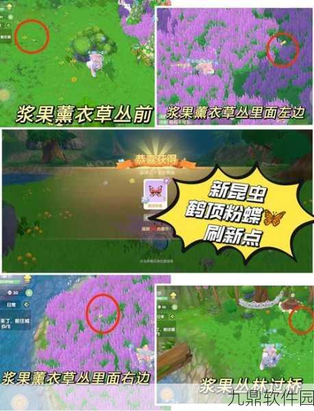 摩尔庄园昆虫捕捉技巧全解析,助你成为庄园捕虫小能手