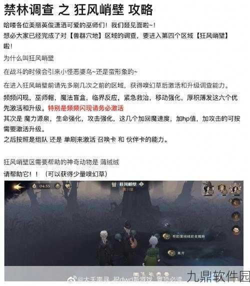 哈利波特魔法觉醒,禁林调查狂风峭壁探险通关全攻略