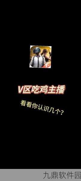 和平精英主播推荐,顶尖玩家与娱乐达人的精彩对决