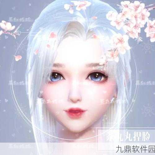 梦幻新诛仙捏脸艺术，解锁个性化面容的数据大全