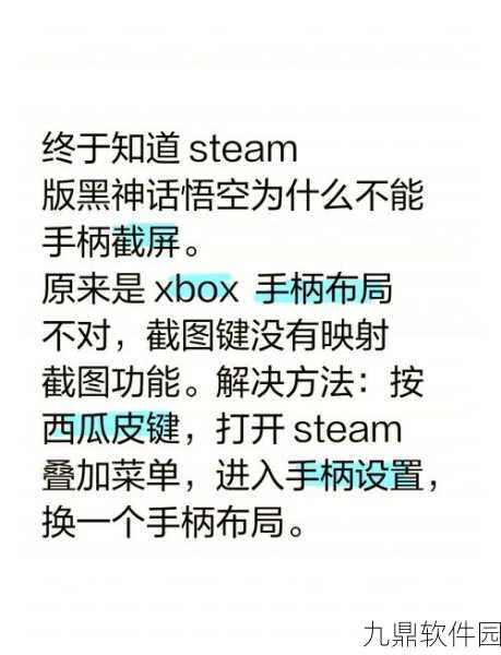 乐高指环王游戏手柄问题解决指南，全面攻略助你畅享游戏世界