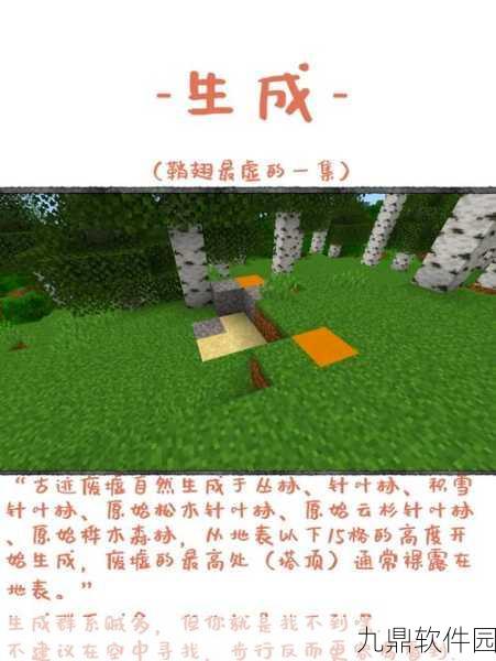 探索我的世界引雷奥秘,全面解析触发方式与操作指南