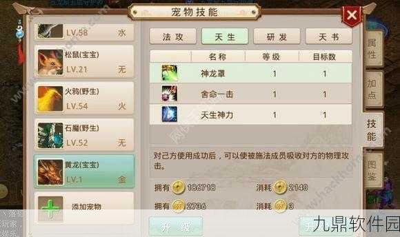 武极天下手游，40级后职业进阶全攻略，解锁最佳升级路线