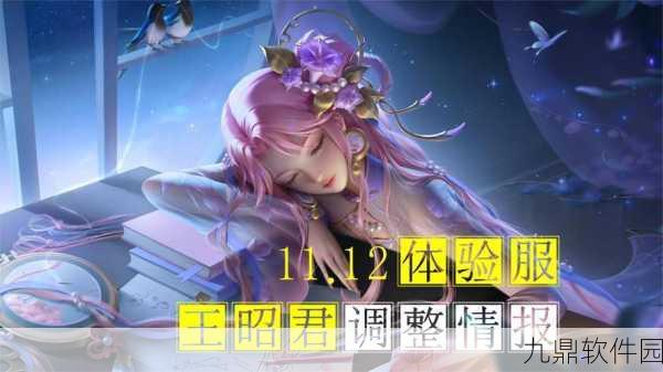 王者荣耀新策略揭秘，揭秘王昭君的绝佳克星，重塑战场格局