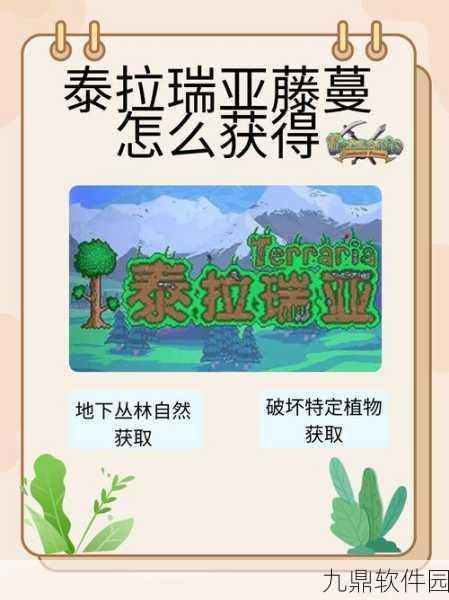 泰拉瑞亚手游资讯,快速找到奇异植物的探险指南