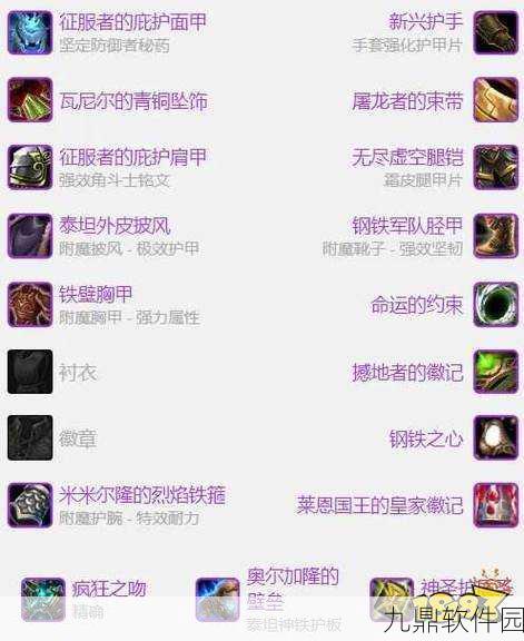 魔兽世界WLK防骑装备精选指南