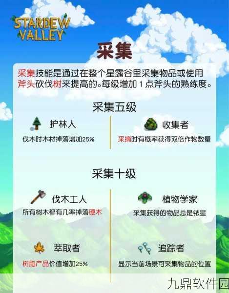 星露谷物语角色与职业选择深度解析，找到最适合你的游戏体验