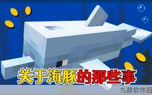 我的世界手游资讯,揭秘海豚喂养技巧与它们最爱的食物种类