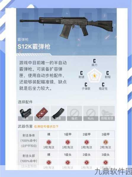 和平精英最佳武器搭配揭秘,两把枪横扫战场