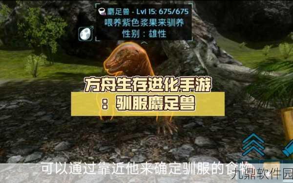方舟生存进化，揭秘高效驯服蜘蛛技巧，摒弃武力明智之选