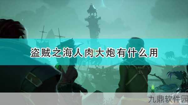 手游资讯,盗贼之海结盟机制深度解析及其战略价值