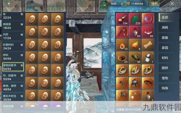 妄想山海星后武器精选指南，深度解析最佳武器搭配与实战运用策略