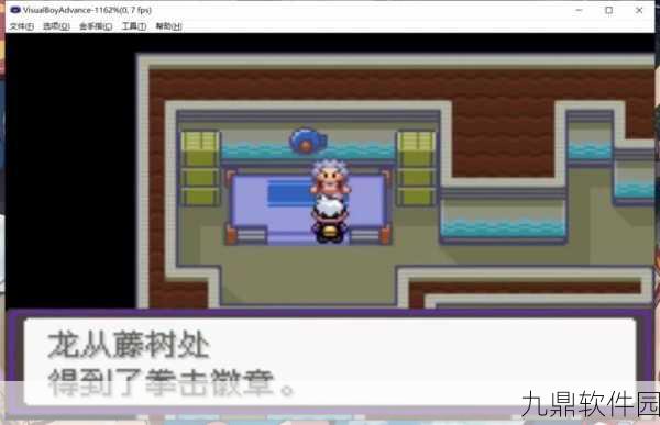漆黑的魅影口袋妖怪小游戏深度玩法全攻略及最新资讯速递
