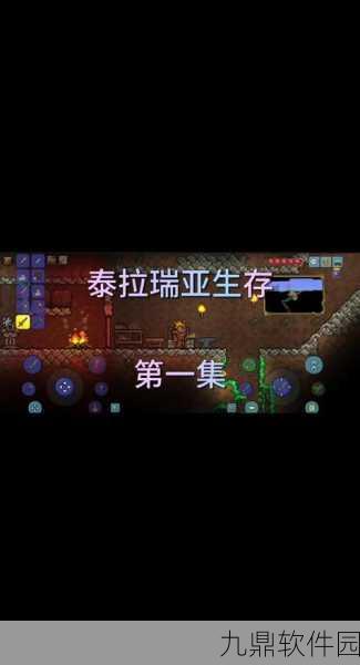泰拉瑞亚探险指南,揭秘丛林孢子的藏身之处