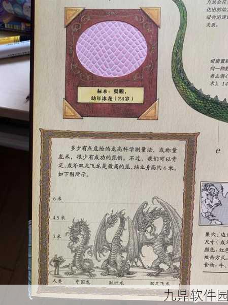 冰原守卫者龙族多样性探索，揭秘不同龙类的独特特征与奥秘