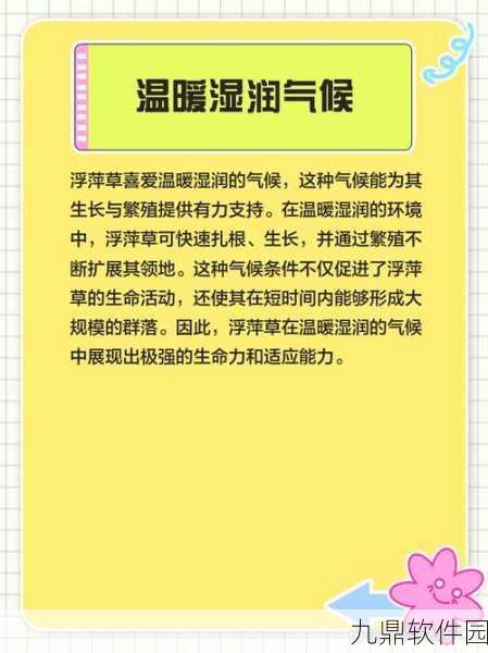我的世界浮萍植物新特性深度解析，探索生长奥秘与生态影响